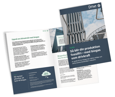 WP_Biogas_guide-v2-1