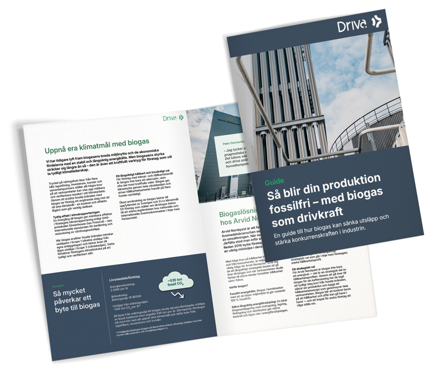 WP_Biogas_guide-v2-1 WP_Biogas_guide-v2-1